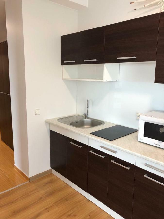 Palanga Apartment Daukanto 17 Zewnętrze zdjęcie